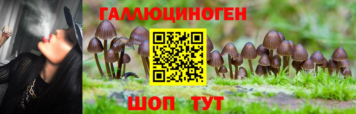 купить наркотик  Вход с VPN  Рославль  Галлюциногенные грибы GOLDEN TEACHER 
